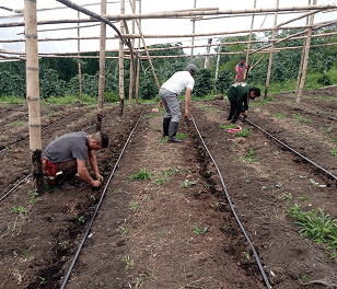 Proyectos de Desarrollo Socioeconómico